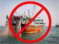 ممنوعیت صید ماهی شوریده در صیدگاه های خوزستان و بوشهر