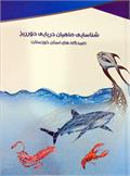 کتاب دوزبانه "شناسایی ماهیان دریایی دورریز در صیدگاه های خوزستان" منتشر شد