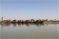 مدیرکل شیلات خوزستان : صید میگوی ببری در صیدگاه بحرکان هندیجان ممنوع شد