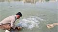 رهاسازی یک میلیون قطعه بچه ماهی بومی در رودخانه بهمنشیر