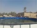 رئیس سازمان شیلات ایران : پیگیری مشکلات شیلات از طریق وزارت نیرو و سازمان محیط زیست / خوزستان پیشرو در سرانه مصرف آبزیان است