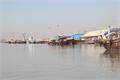 ممنوعیت صید ماهی حلوا سفید در صیدگاه های خوزستان