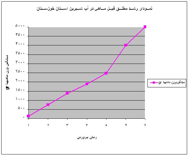 فایل