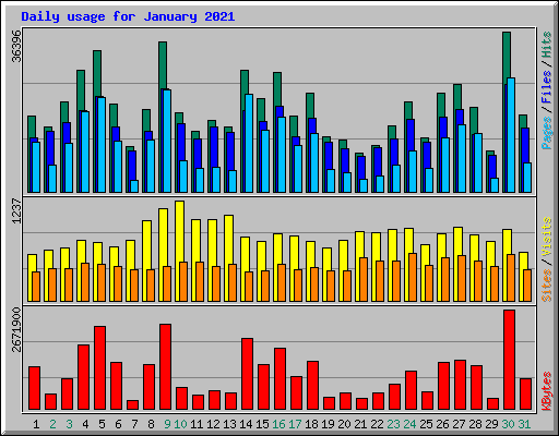 Daily usage for January 2021