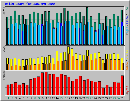 Daily usage for January 2022