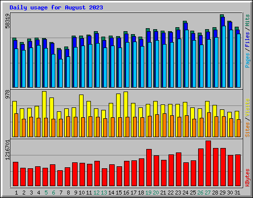 Daily usage for August 2023