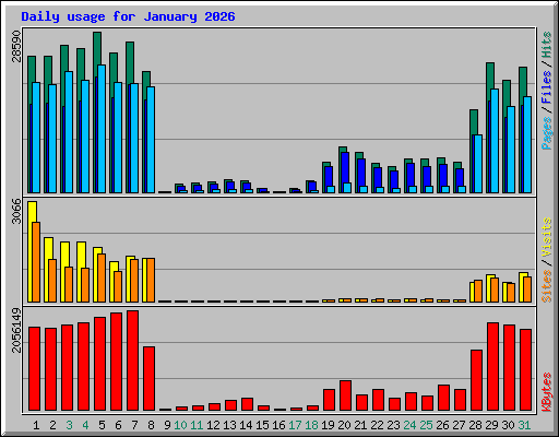 Daily usage for January 2026