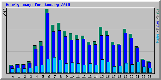 Hourly usage for January 2015