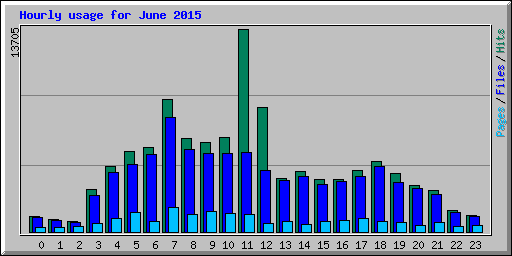 Hourly usage for June 2015