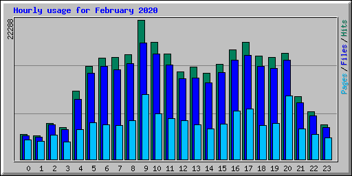 Hourly usage for February 2020