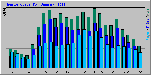 Hourly usage for January 2021