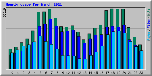 Hourly usage for March 2021