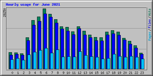 Hourly usage for June 2021