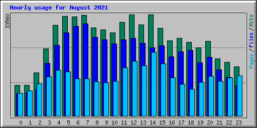 Hourly usage for August 2021