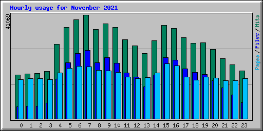 Hourly usage for November 2021