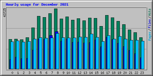 Hourly usage for December 2021