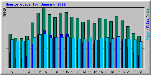 Hourly usage for January 2022