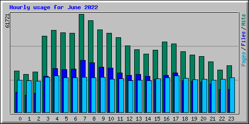 Hourly usage for June 2022