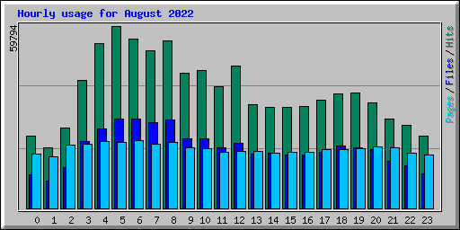 Hourly usage for August 2022