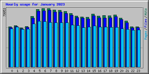 Hourly usage for January 2023