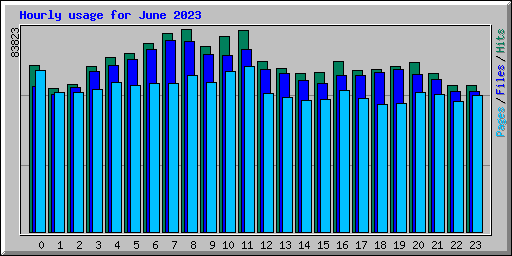 Hourly usage for June 2023