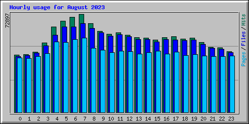 Hourly usage for August 2023