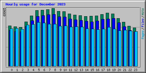 Hourly usage for December 2023