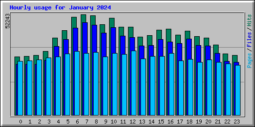 Hourly usage for January 2024