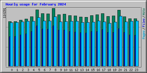 Hourly usage for February 2024