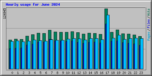 Hourly usage for June 2024