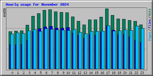 Hourly usage for November 2024