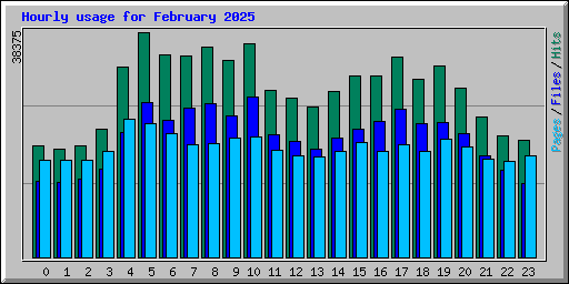 Hourly usage for February 2025