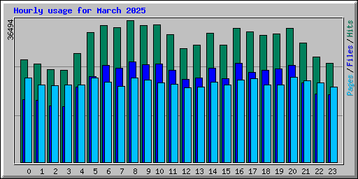 Hourly usage for March 2025