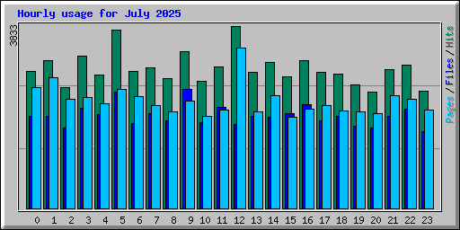 Hourly usage for July 2025