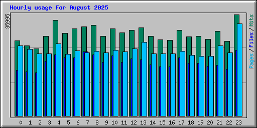 Hourly usage for August 2025