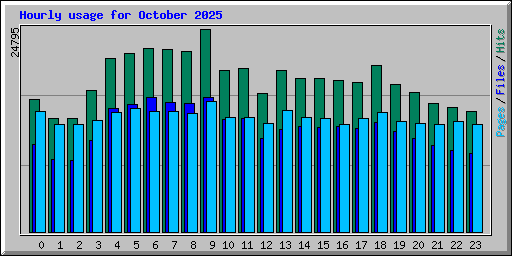 Hourly usage for October 2025