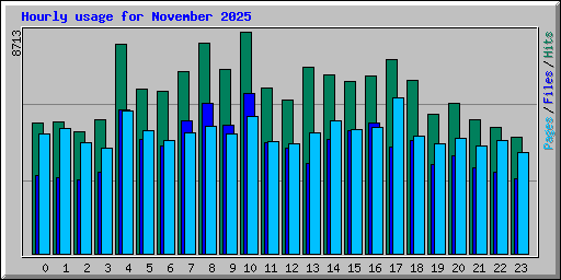 Hourly usage for November 2025