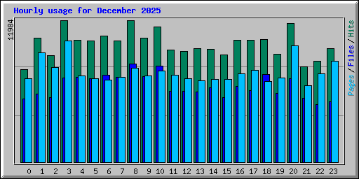 Hourly usage for December 2025