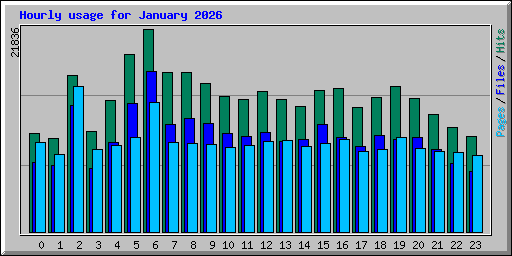 Hourly usage for January 2026