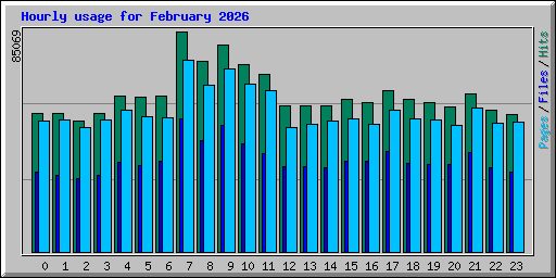 Hourly usage for February 2026