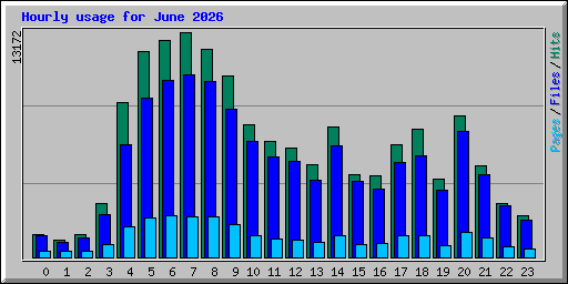 Hourly usage for June 2026